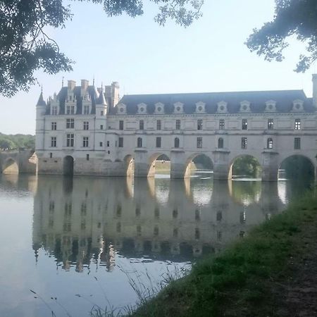 Gite Rural Chenonceaux Francueil Екстериор снимка